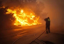 Canicule en Europe : Plus de 1000 morts au Portugal - pas d'amélioration en vue 7897381531035846.webp