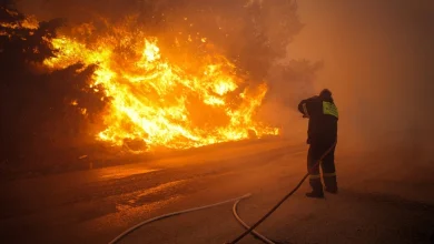 Canicule en Europe : Plus de 1000 morts au Portugal - pas d'amélioration en vue 7897381531035846.webp