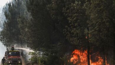 Lundi, pic brûlant d'une canicule qui atteint les frontières de la Bretagne Monday burning peak of a heat wave that reaches the