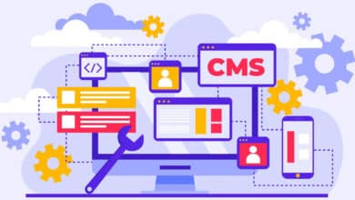 Comment faire un site e-commerce avec Wordpress ? cms