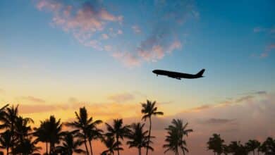 Pourquoi les actions des compagnies aériennes augmentent à nouveau aujourd'hui silhouette of airplane flying over palm trees in sunset getty