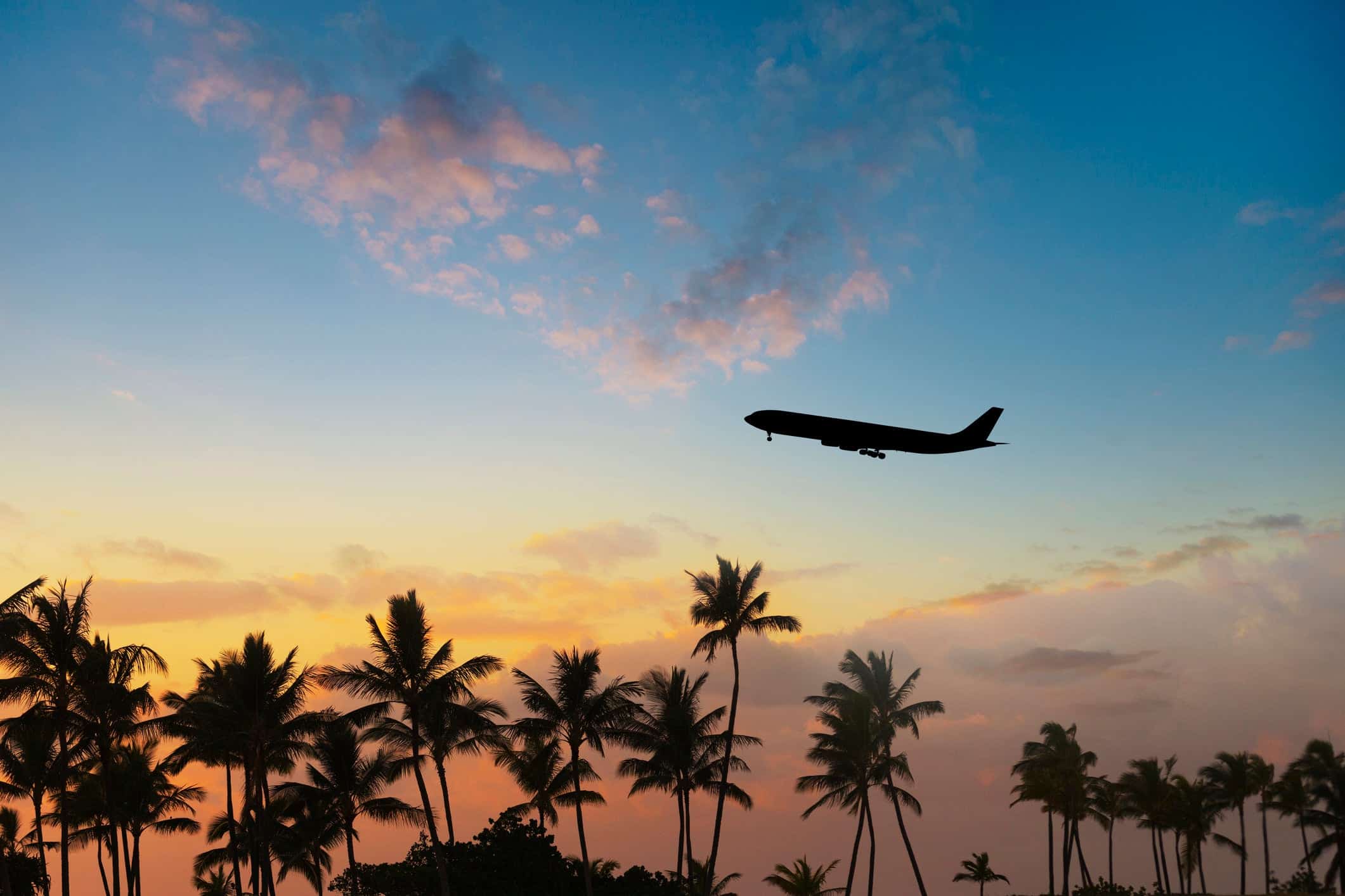 Pourquoi les actions des compagnies aériennes augmentent à nouveau aujourd'hui silhouette of airplane flying over palm trees in sunset getty