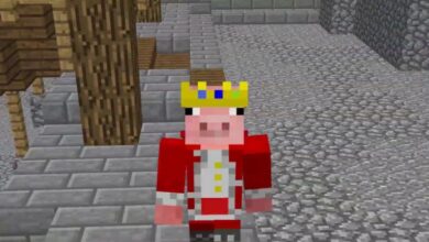 Technoblade le youtuber Mincraft est mort après un diagnostic de cancer technoblade minecraft youtuber