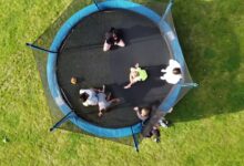 Le trampoline de jardin: nos conseils pour le choisir trampoline de jardin