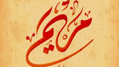Quels sont les prénoms les plus populaires en Algérie ? Maryam Name In Arabic Diwani Calligraphy 730x430