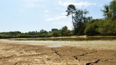 Plus d'eau potable, cultures sèches : Une sécheresse historique More drinking water dry crops the government caught up in