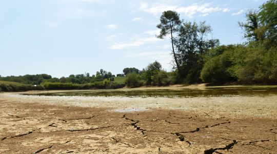 Plus d'eau potable, cultures sèches : Une sécheresse historique More drinking water dry crops the government caught up in