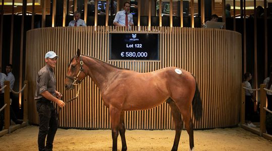 Record de ventes de yearlings à Deauville à plus de 51 millions d'euros Record yearling sales at Deauville at more than 51 million