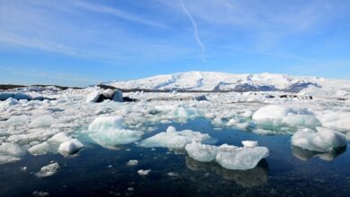 Voyages développement personnel : une expérience de vie croisiere en antarctique tout savoir sur ce voyage au pole sud 1