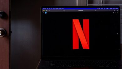 Photo de La série Netflix qui a atteint un nouveau record d’audience aux États-Unis selon Nielsen