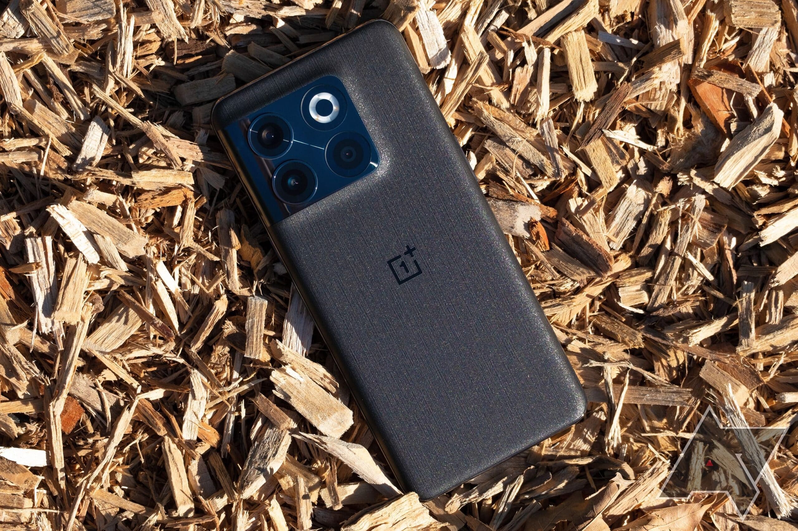 Les meilleurs protecteurs d'écran Samsung OnePlus 10T en 2022 oneplus 10t wood chips scaled