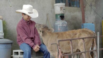 Photo de « Être un cow-boy n’est pas une imposition, mais un choix d’enfant »: Isabel Vaca, directrice