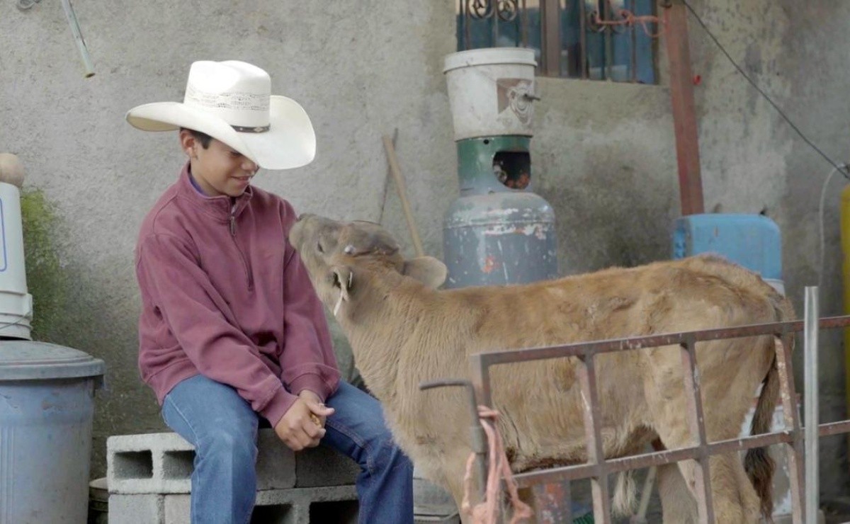 "Être un cow-boy n'est pas une imposition, mais un choix d'enfant": Isabel Vaca, directrice