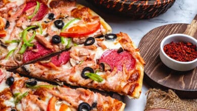 Four à Pizza à gaz : tout ce qu'il faut savoir avant d'en acheter un en 2022 pizza maison