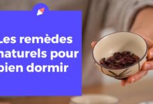 5 plantes miracles pour mieux dormir plante mieux dormir