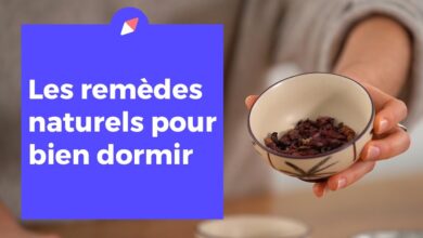 5 plantes miracles pour mieux dormir plante mieux dormir