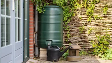 Récupérateur eau de pluie : Comment la récupérer recuperateur eau de pluie