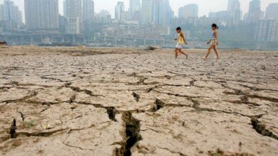 Sécheresse : la canicule sans précédent en Chine menace la sécurité du pays secheresse chine