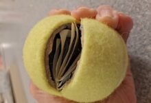 8 façons intelligentes d'utiliser des balles de tennis dans la maison tennis ball use 4 Deb Hipp scaled e1659223258768