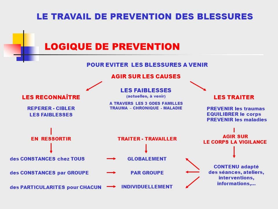 Réduisez les TMS et améliorez la QCVT de vos salariés BLESSURESenVBLOGIQUEDEPREVENTION