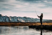 Pêcheur : Les 12 meilleures applications de pêche en 2022 Best Android fishing apps roundup hero 1