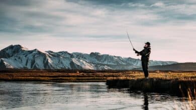 Pêcheur : Les 12 meilleures applications de pêche en 2022 Best Android fishing apps roundup hero 1