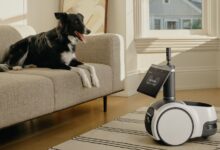 Robots adaptés aux animaux domestiques, suivi du sommeil au chevet et tout ce que vous avez manqué lors du grand événement matériel d'Amazon astro dog