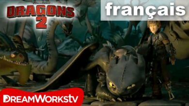 Dragons 2 (Netflix) : pourquoi ce film d'animation est un régal à regarder ? dragons2 dreamworks