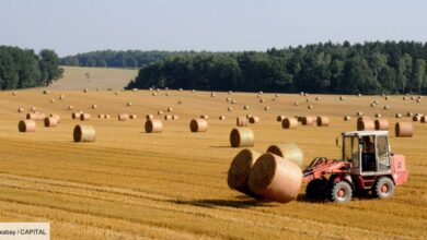 Météo Agricole heure par heure emmanuel macron appelle a consommer francais pour soutenir lagriculture 1445809