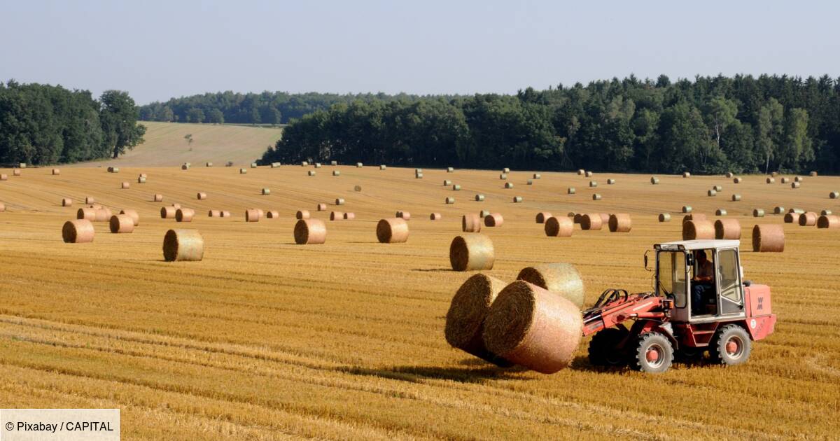 Météo Agricole heure par heure emmanuel macron appelle a consommer francais pour soutenir lagriculture 1445809