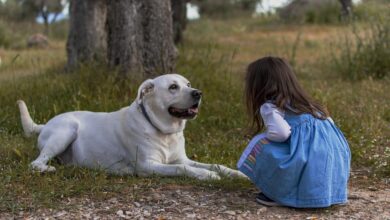 Communiquer avec les animaux : un échange qui fait du bien ! kid 5718703 960 720