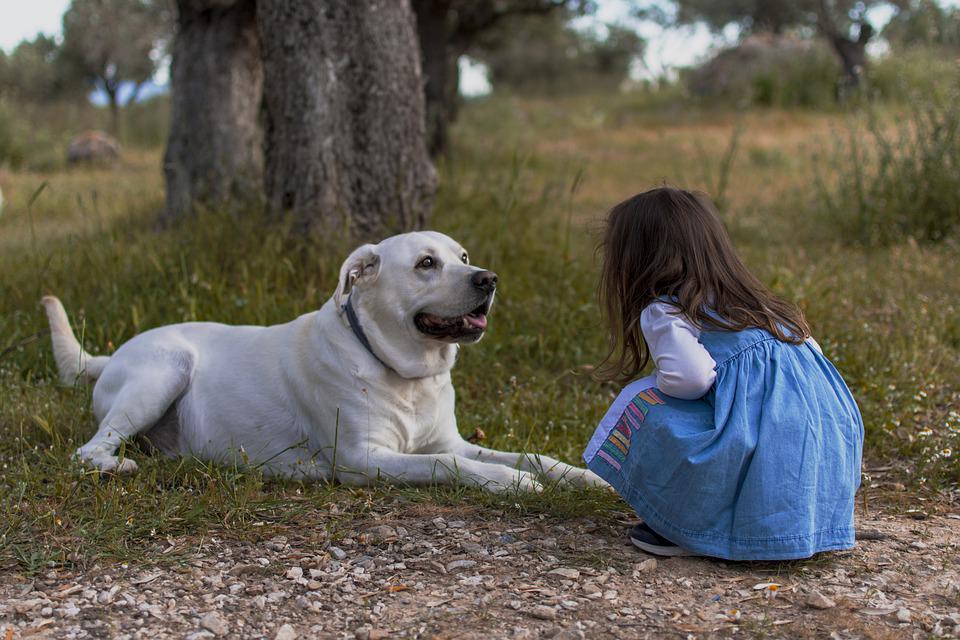 Communiquer avec les animaux : un échange qui fait du bien ! kid 5718703 960 720