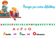 Ranger les mots dans l'ordre alphabétique en primaire - CE1 / CE2 ordre alaphabet