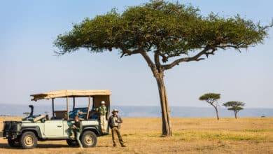 Que mettre dans sa valise pour un safari au Botswana safari Botswana