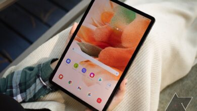 Comment réinitialiser une tablette Samsung samsung galaxy tab s7 fe in hand