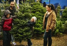 Comment faire durer un vrai sapin de Noël plus longtemps smiling boys holding up christmas tree while royalty free image 1664291758