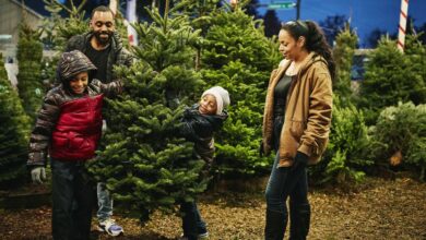 Comment faire durer un vrai sapin de Noël plus longtemps smiling boys holding up christmas tree while royalty free image 1664291758