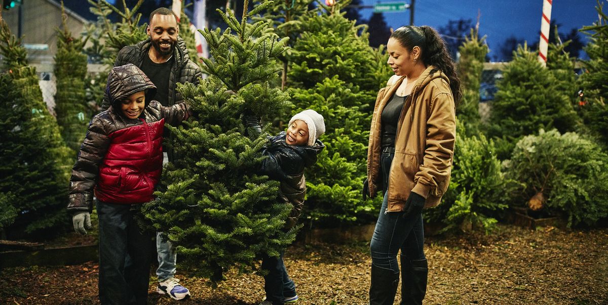 Comment faire durer un vrai sapin de Noël plus longtemps smiling boys holding up christmas tree while royalty free image 1664291758