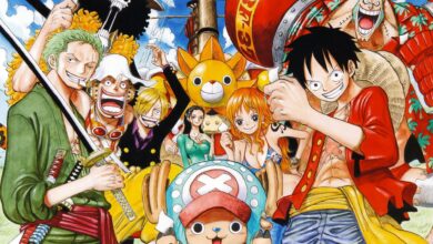 8 idées cadeaux pour un fan de One Piece one piece 17367