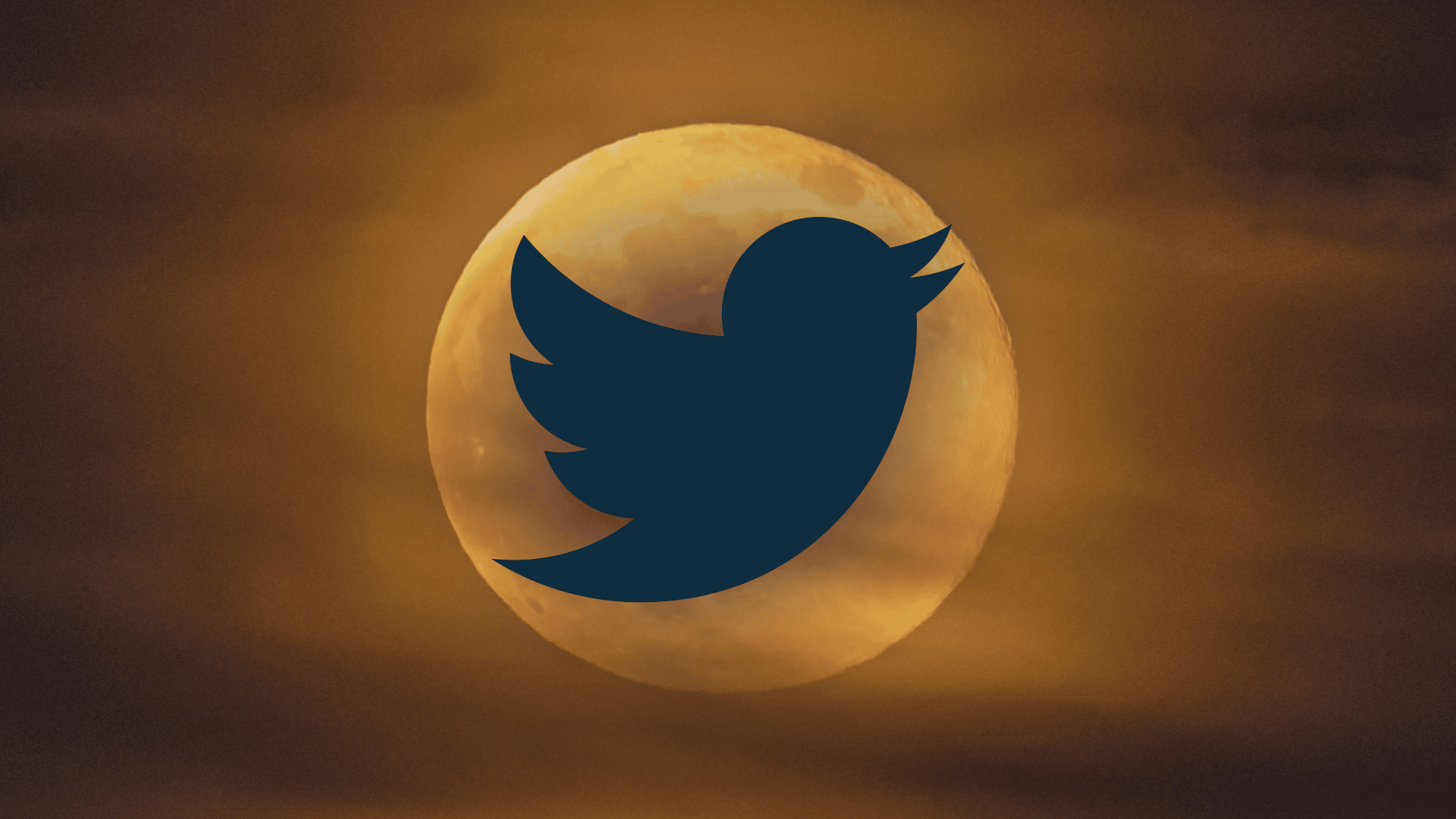 Comment supprimer votre compte Twitter twitter dark hero