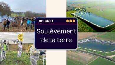 Les Soulèvements de la Terre: un mouvement écologiste contestataire menacé de dissolution okibata mega bassine