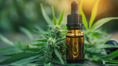 Les Meilleurs Shops de CBD en Ligne en France – Guide 2025 cbd plante